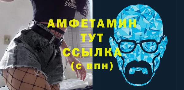 индика Вязники